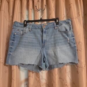 Seven7 Denim Blue Women's Jean Shorts